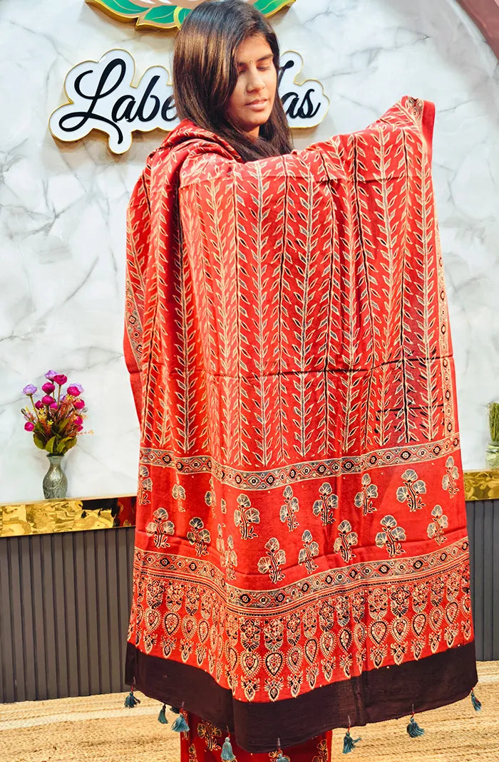 Ajrak Handblock salwar_18