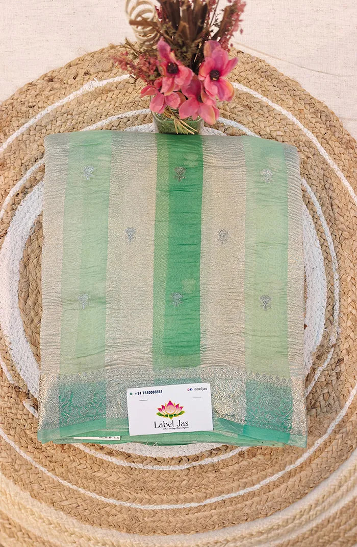 Premium Tissue organza  Silk Saree 5 Main image