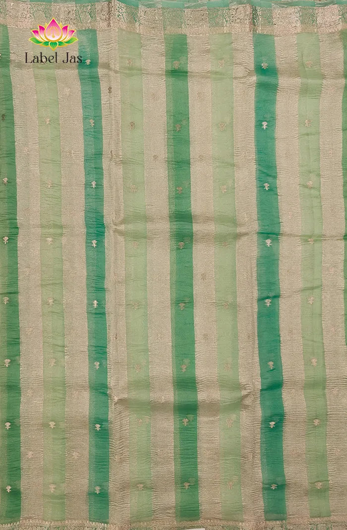 Premium Tissue organza  Silk Saree 5