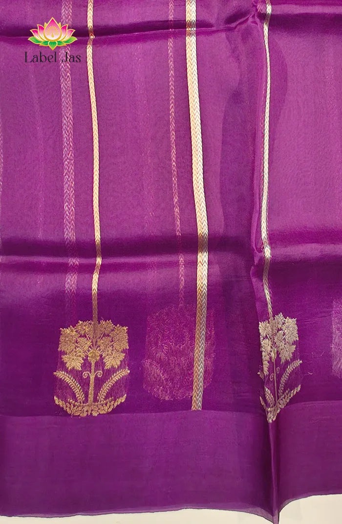 Pure Kora organza Banarasi Silk Saree 3
