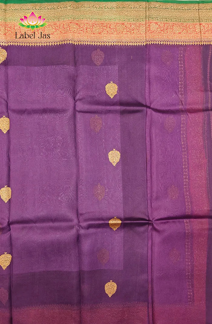 Premium Raw Silk Organza Saree 2