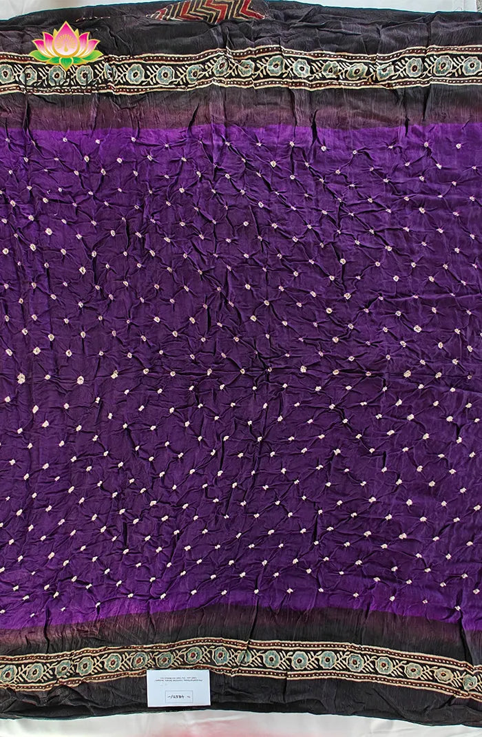 Modal silk with Bandini and Ajrakh Saree 6 Secondary image