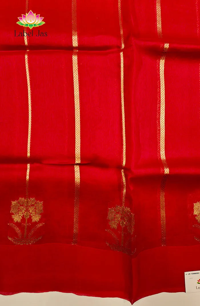 Pure Kora organza Banarasi Silk Saree 2