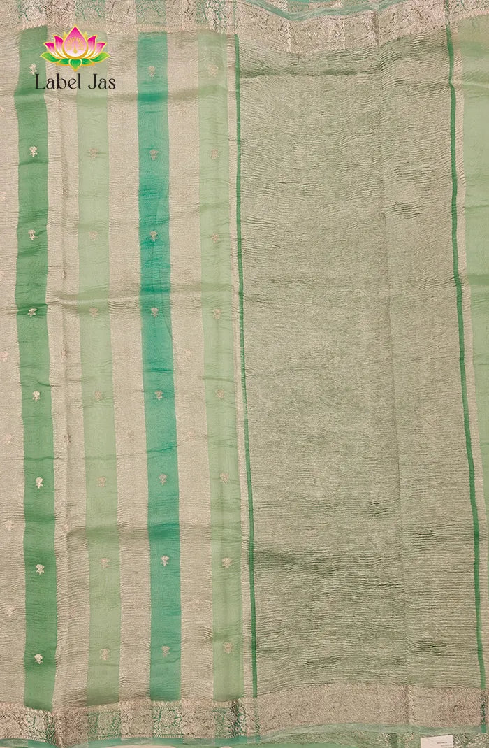 Premium Tissue organza  Silk Saree 5