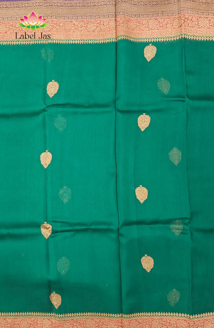 Premium Raw Silk Organza Saree 1