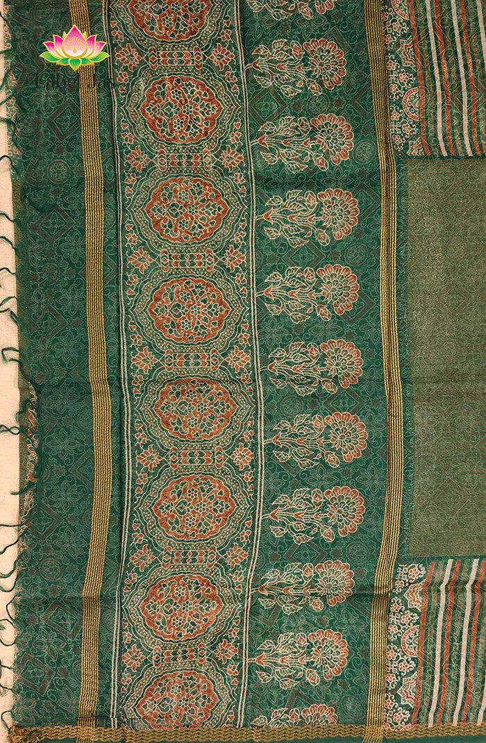 Semi Organza Saree 6