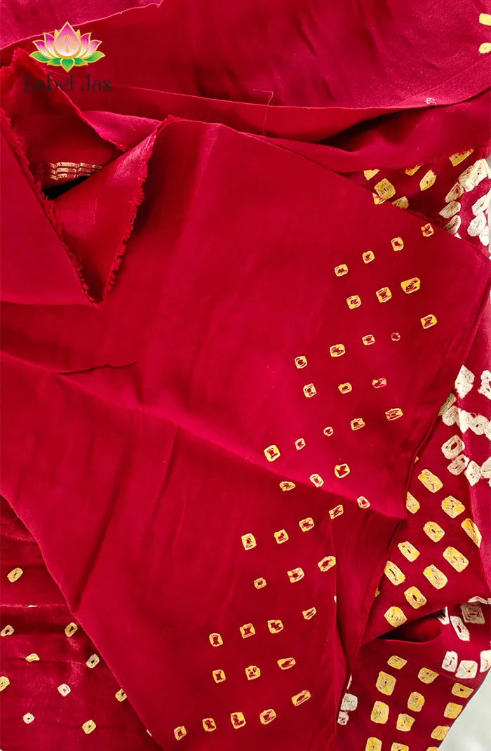 Modal silk with Bandini Saree 3