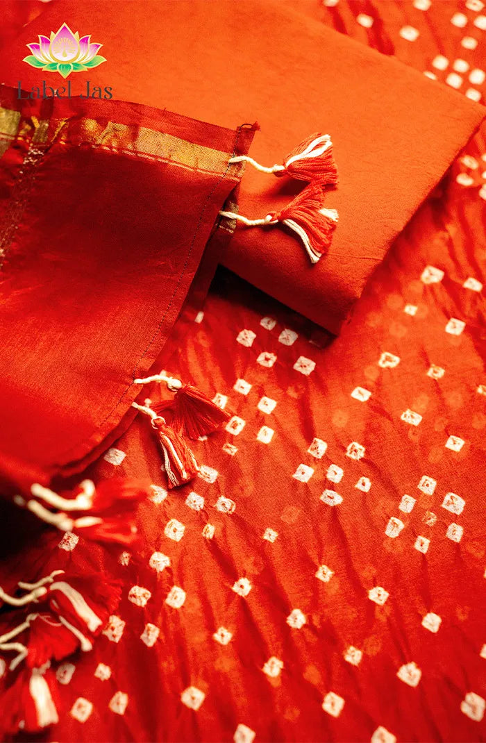 Chanderi Silk Bandhini Salwar_14